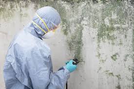 Why You Should Choose Our Mold Remediation Services in Sanatoga, PA